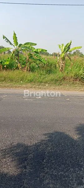 image TANAH LEBAR NOL JALAN PROVINSI GRESIK (1)
