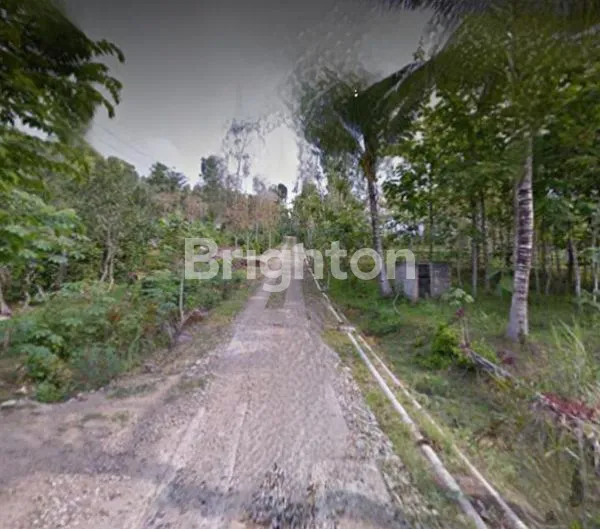 image BUTUH JADI UANG CEPAT, TANAH LUAS DAN MURAH DI DUSUN PRINGKUKU-PACITAN (2)