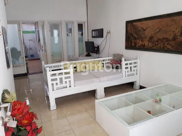 image MURAH POL GRAND DELTASARI DELTA ANTHURIUM (2)