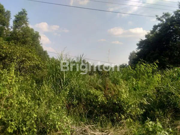 image TANAH DI RINGROAD, PLESUNGAN (2)