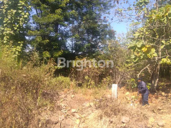 image TANAH DI RINGROAD, PLESUNGAN (3)