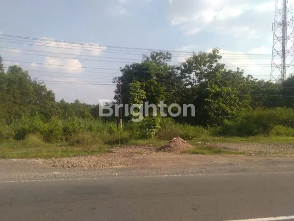 image TANAH DI RINGROAD, PLESUNGAN (4)