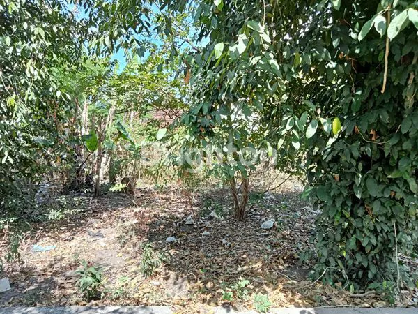 image TANAH PEKARANGAN LUAS 500 M, DI TENGAH PEMUKIMAN PENDUDUK, AKSES JALAN CON BLOK, LOKASI DALAM RING ROAD SELATAN, STRATEGIS MUDAH DIAKSES, 60 METER KE  RING ROAD SELATAN, 300 M KE PANGGUNG KRAPYAK, 1 KM KE PLENGKUNG GADING, 3 KM KE MALIOBORO. (1)