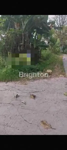 image TANAH LUAS DI DAERAH JERUK SAWIT (3)