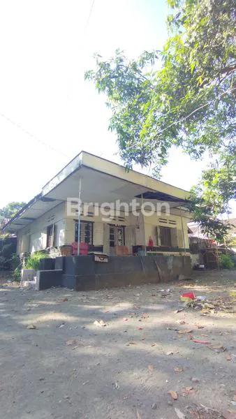 image RUMAH KLASIK KOLONIAL 1705 M2 KEDIRI KOTA (1)