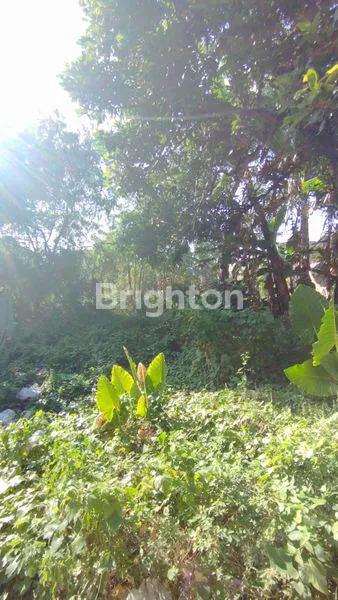 image RUMAH KLASIK KOLONIAL 1705 M2 KEDIRI KOTA (4)