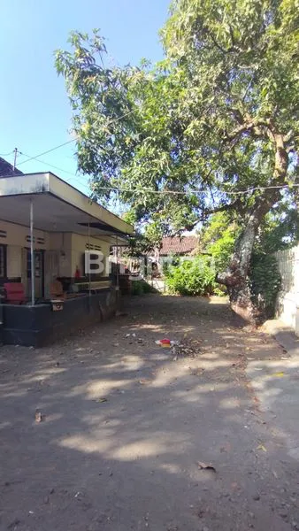 image RUMAH KLASIK KOLONIAL 1705 M2 KEDIRI KOTA (6)