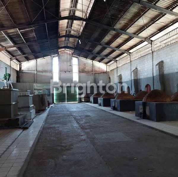 image 4HA EX PABRIK DI PROBOLINGGO (3)