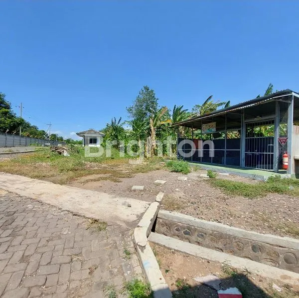 image 4HA EX PABRIK DI PROBOLINGGO (7)