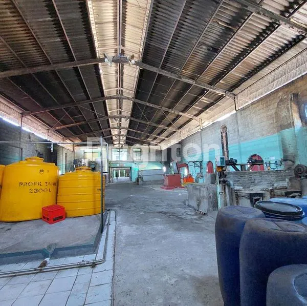 image 4HA EX PABRIK DI PROBOLINGGO (6)