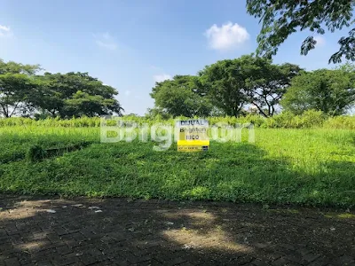 image TANAH NEWTON HILL CITRALAND  (1)