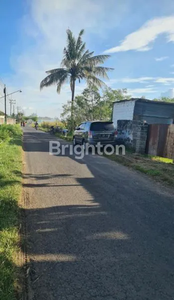 image PABRIK BATU BANYUWANGI (5)