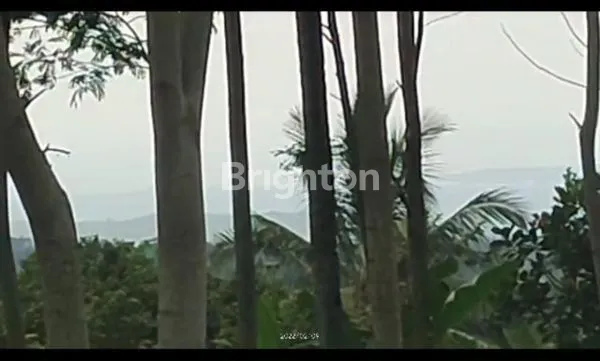 TANAH IJEN RESORT BANYUWANGI