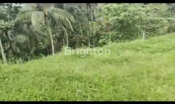 image TANAH IJEN RESORT BANYUWANGI (2)