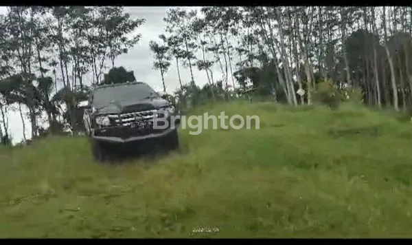 image TANAH IJEN RESORT BANYUWANGI (3)