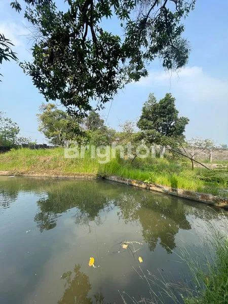 image TANAH PACET (COCOK UNTUK TAMBAK / PETERNAKAN / SAWAH) SUDAH PAGAR KELILING, SIAP PAKAI (1)