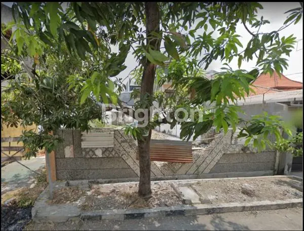 image TANAH DI JALAN MANYAR REJO (1)