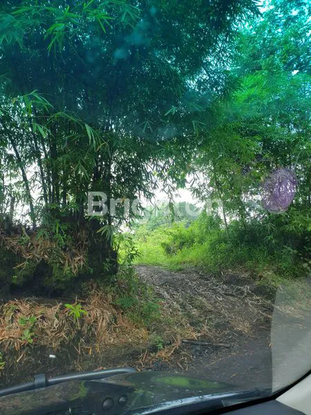 image LAHAN KOSONG PENUH PASIR DI LUMAJANG (1)