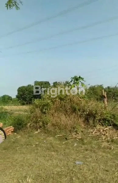 TANAH TEGAL MOJOKERTO