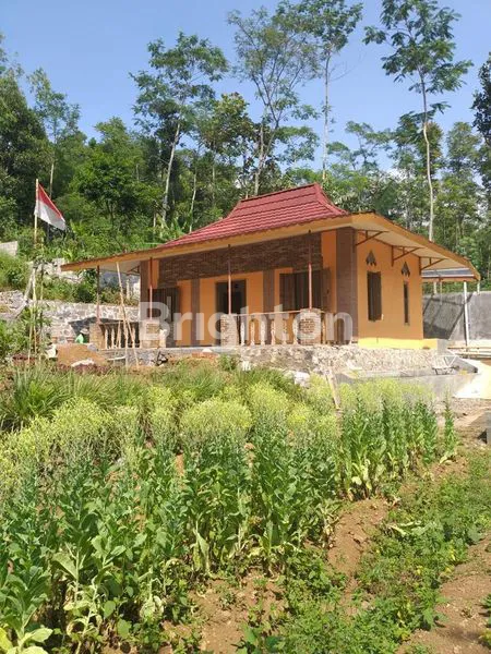 RUMAH DAN KEBUN LUAS COCOK UNTUK MELEPAS STRES DAN BERKEBUN