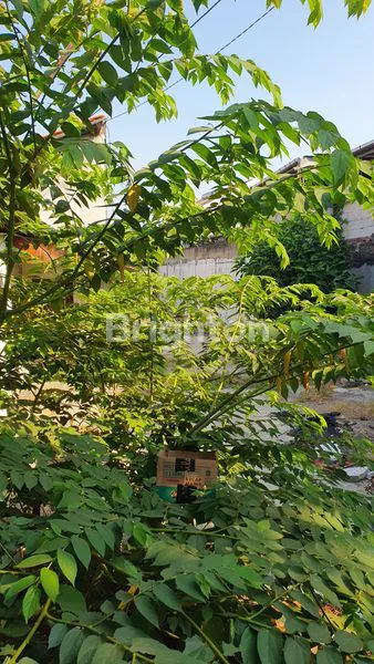 TANAH SHM 300M² DI KEDOYA, LOKASI ELITE BEBAS BANJIR