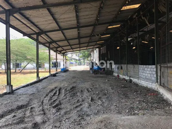 image DI JUAL TANAH PERUNTUKAN UNTUK PABRIK DI BEJI PASURUAN (GUNUNG GANGSIR) (3)