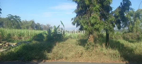 TANAH INDUSTRI LUAS AREA SINGOSARI MALANG