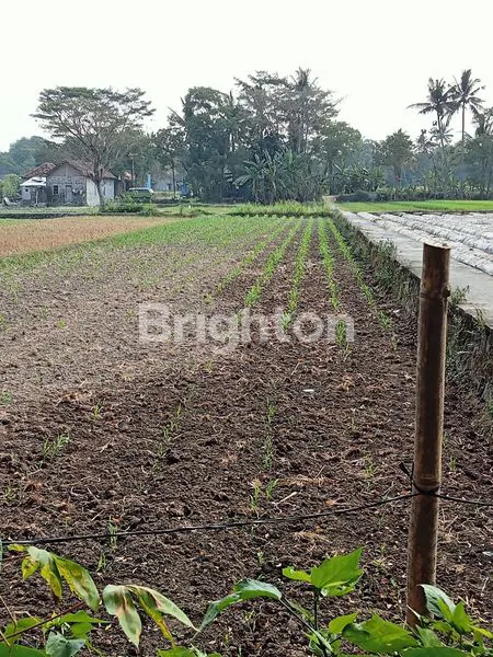 image SAWAH LUAS ZONA KUNING, LEBAR DEPAN 12 M, BISA PROSES PENGERINGAN, PINGGIR JALAN  ASPAL  SINDUMARTANI, NGEMPLAK, JALUR WISATA GOWES, VIEW GUNUNG MERAPI, 1 KM KE PASAR JAMBON, 8 KM KE UII KALIURANG. (5)