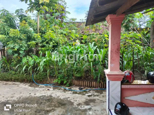 image RUMAH DI KERTOSONO JALUR PROVINSI (3)