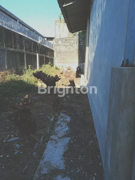 image GUDANG DI SUNTER (3)