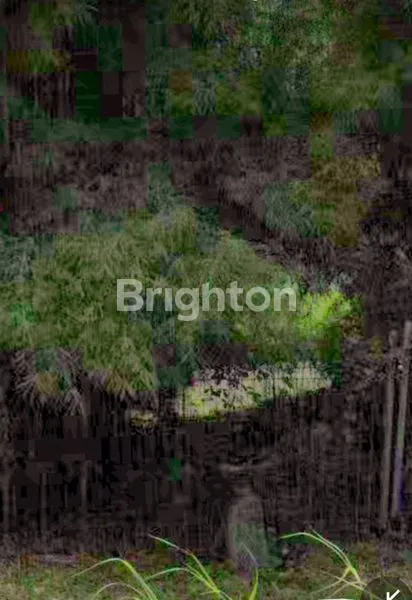 image LANGKA..JARANG ADA..!!TANAH GRAHA FAMILY (1)