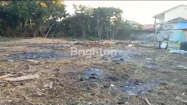 image TANAH KOMERSIAL DI NGINDEN SEMOLO (3)