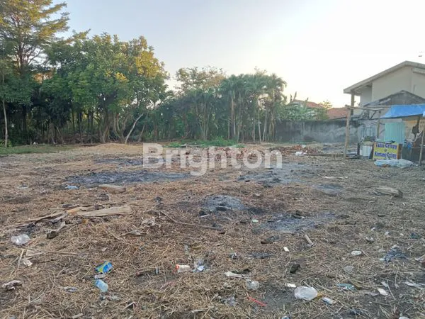 image TANAH KOMERSIAL DI NGINDEN SEMOLO (6)