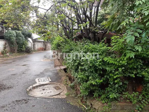 image TANAH BINTARO DEPSOS (6)