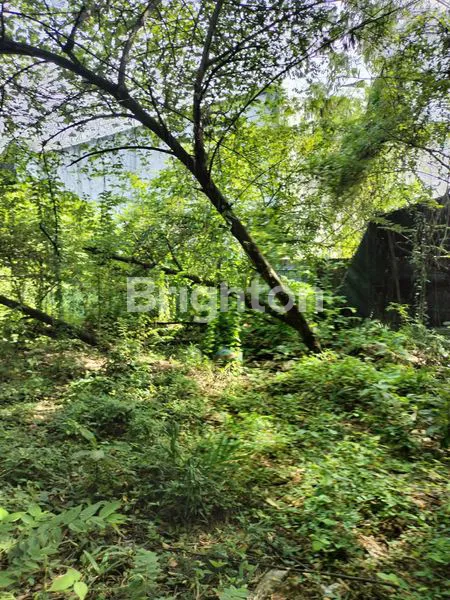 image TANAH DAN BANGUNAN POGOT KENJERAN SURABAYA TIMUR SIAP PAKAI (7)