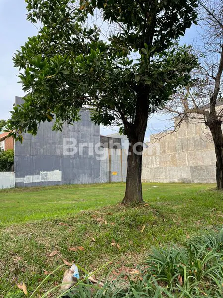 image KAVLING CITRA 2 EXTENSION ROW BOULEVARD 12M X 24M CITRA RAYA JAKARTA (5)