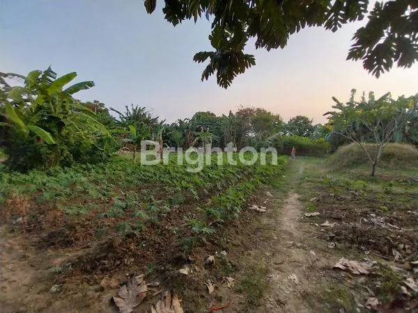 image TANAH MURAH DI KOTA BEKASI (3)