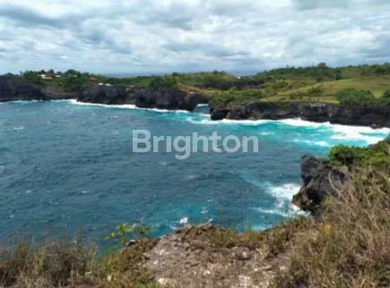 image TANAH LOS TEBING 1 HEKTAR DESA SAKTI NUSA PENIDA KLUNGKUNG (4)