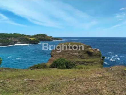 image TANAH LOS TEBING 1 HEKTAR DESA SAKTI NUSA PENIDA KLUNGKUNG (3)
