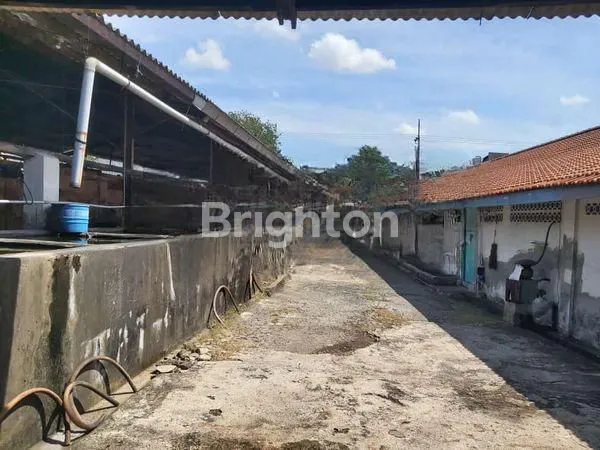 image GUDANG HITUNG TANAH DI RAYA GUNUNG SARI DEKAT TOL GUNUNG SARI  (3)