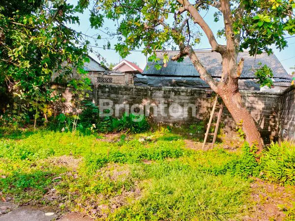 image RUMAH HITUNG TANAH. LAHAN LUAS PONTENSIAL BESAR. (5)