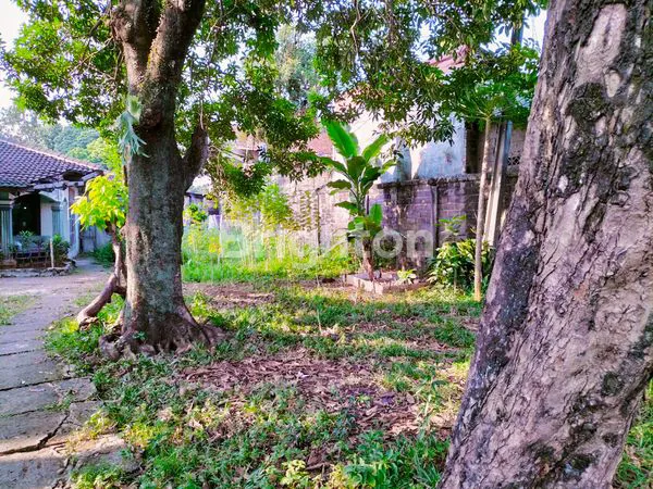 image RUMAH HITUNG TANAH. LAHAN LUAS PONTENSIAL BESAR. (7)