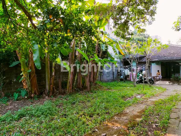 image RUMAH HITUNG TANAH. LAHAN LUAS PONTENSIAL BESAR. (8)