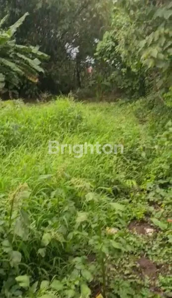 image TANAH KAVLING SIDOARJO (1)