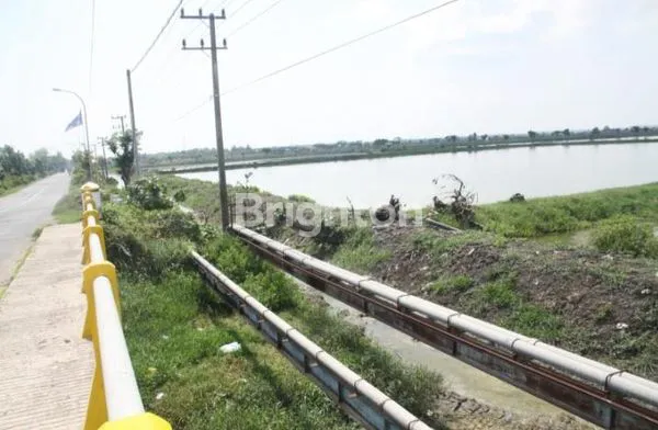 image TANAH DI JL RAYA DAENDLES SIDAYU GRESIK (1)