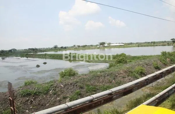 image TANAH DI JL RAYA DAENDLES SIDAYU GRESIK (2)