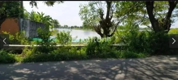 TANAH TAMBAK DI JL RAYA SIDOMULYO DEKET LAMONGAN