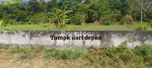 image TANAK EKSOTIS SINGARAJA (1)