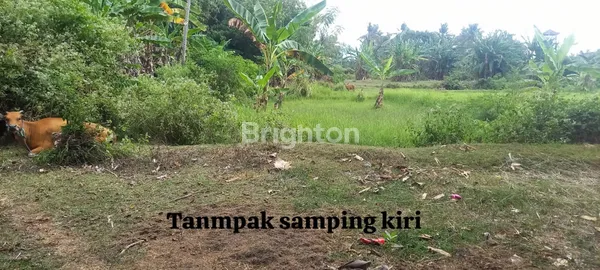 image TANAK EKSOTIS SINGARAJA (3)