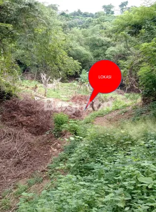 image TANAH KEBUN TEGAL SAWAN 179 ARE BULELENG (3)